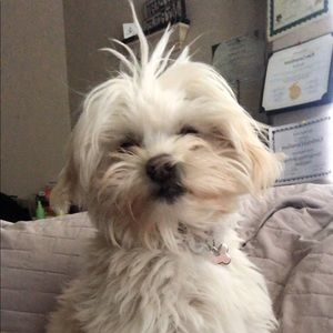 Meet your Posher, Kimberley